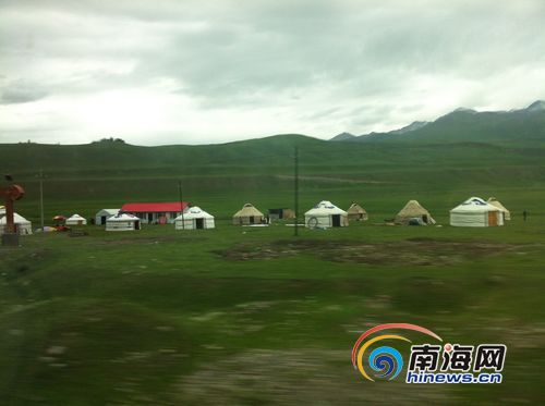今日国际油价动态与心灵之旅，探寻平和绿洲的足迹