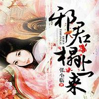 官路女人香最新章节揭秘，聂飞的故事继续展开