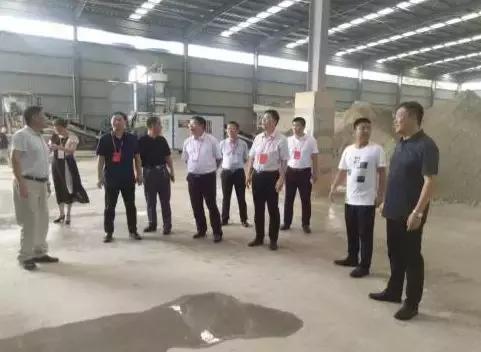 临西环保局最新动态，绿色变革的先锋力量