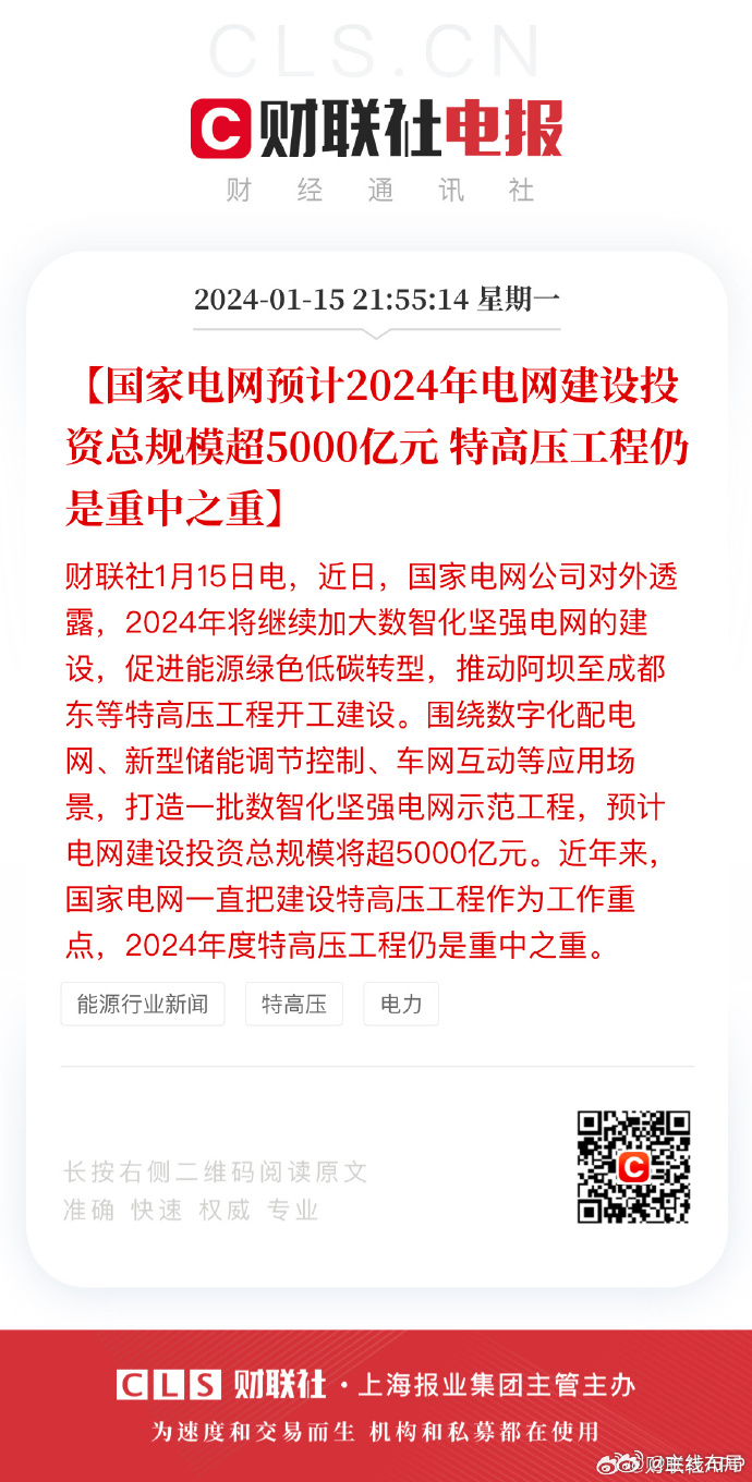 国网最新动向揭秘，最新发展动态与战略布局