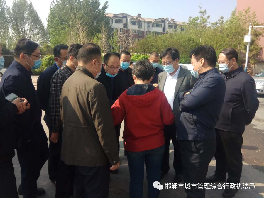 邯郸市常务副市长领导团队的变革与发展动力