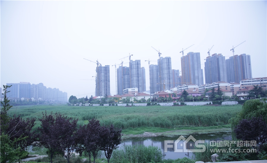 滕州金河湾，日常趣事与爱的纽带温馨时光的最新消息