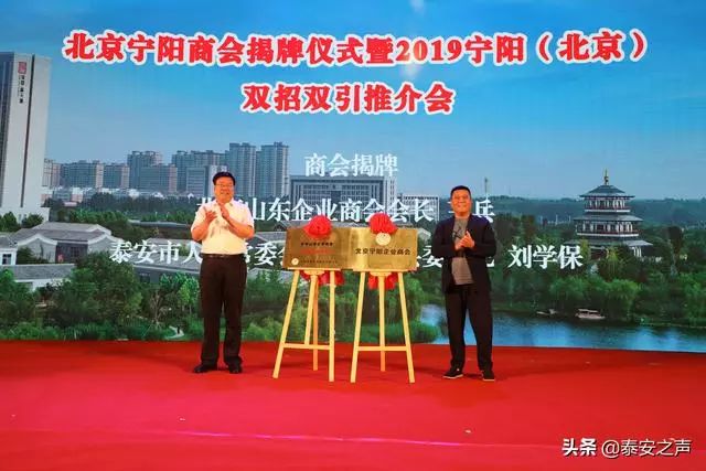 宁阳海力集团最新动态，爱与陪伴的温馨故事