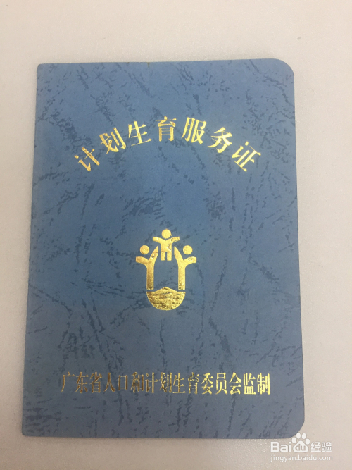 广州生育津贴最新政策解读，探索小巷中的津贴宝藏，2017年更新